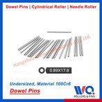 304 স্টেইনলেস স্টীল ডোয়েল পিন